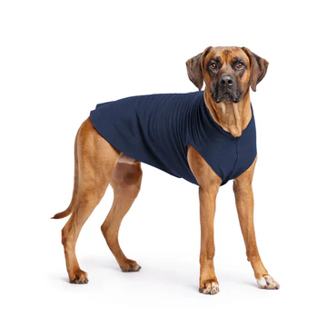 Stretch Fleece - Navy