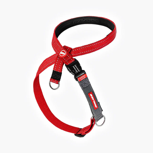 CROSSCHECK HARNESS