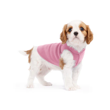 Stretch Fleece - Rose