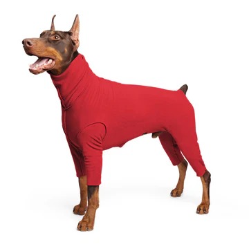 Signature Suit - Red