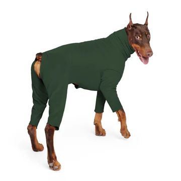 Signature Suit - Hunter Green