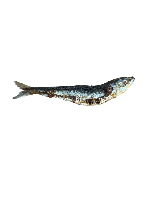 Dehydrated Sardines- 1 Pound (approx 18)