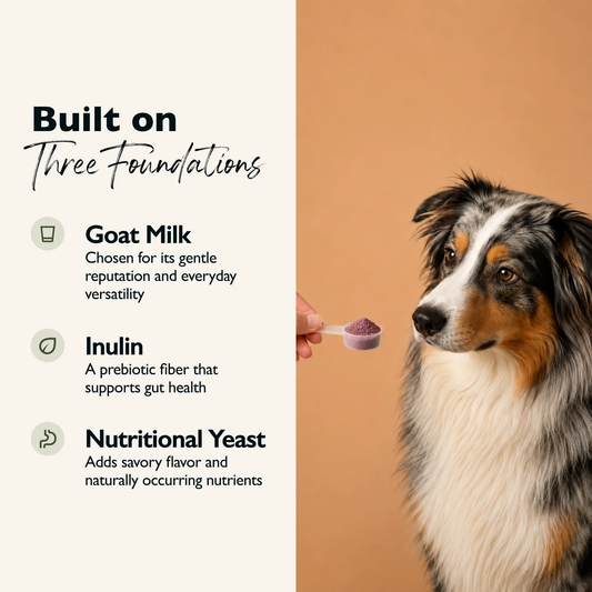 Vitality Goat Milk Topper - Beet & Blueberry- 3oz
