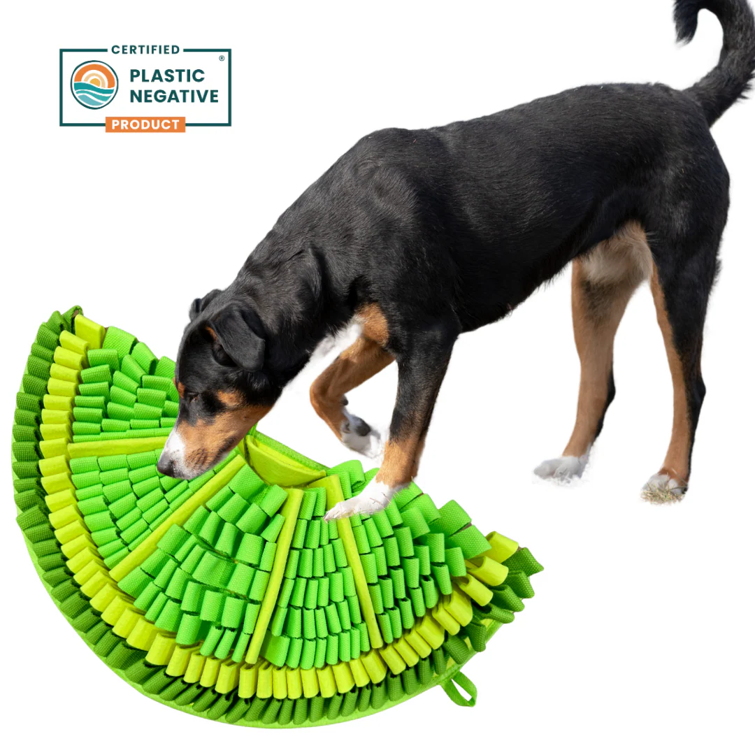 Zesty Lime Snuffle Mat
