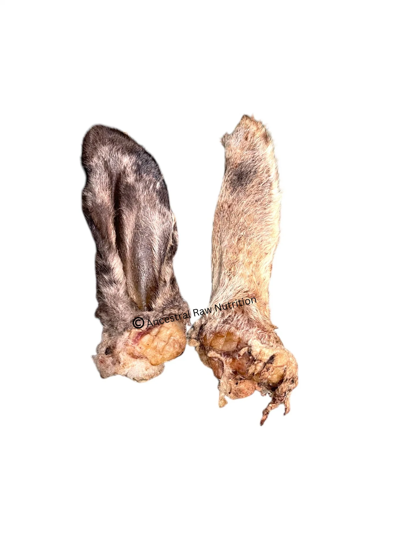 Dehydrated Lamb Ears- 36 count bulk