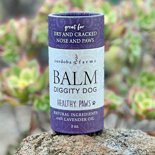 Balm Diggity Dog- Healthy Paws