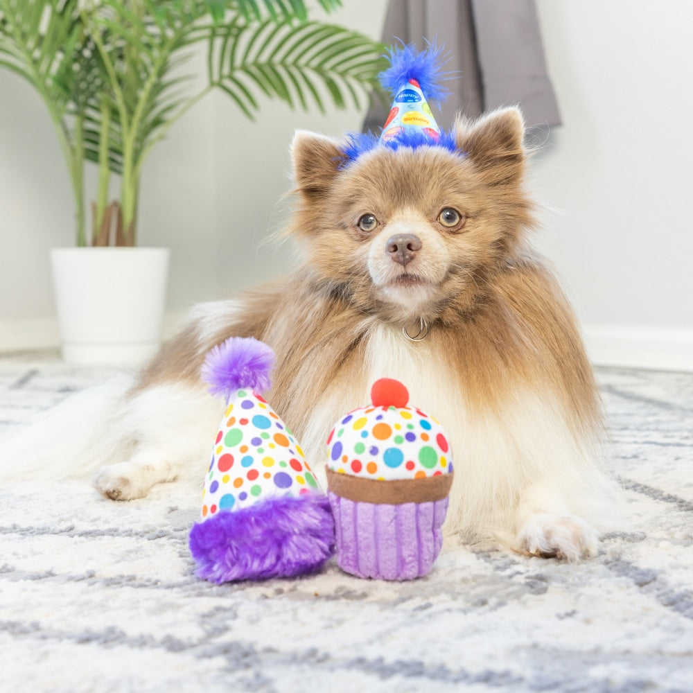 Tiny Tuff It's My Barkday 2pk