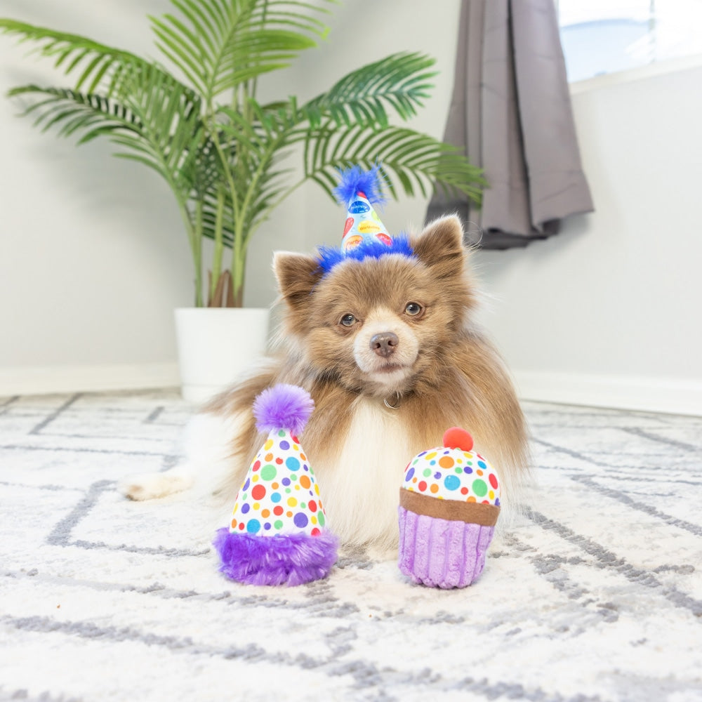 Tiny Tuff It's My Barkday 2pk