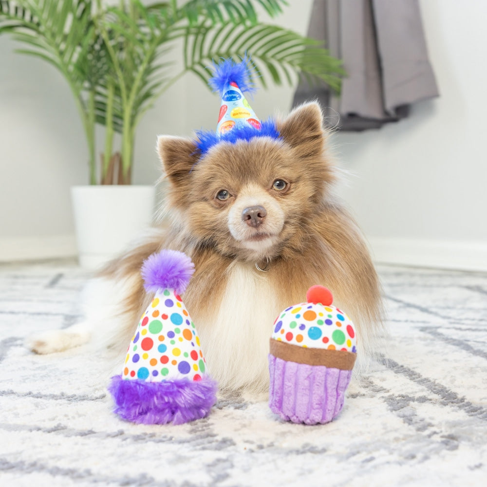 Tiny Tuff It's My Barkday 2pk