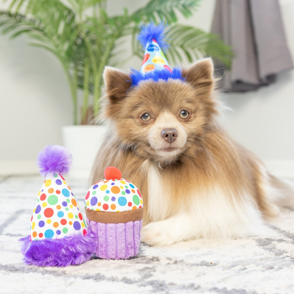 Tiny Tuff It's My Barkday 2pk