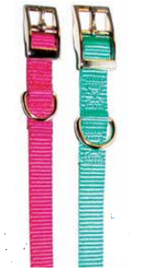 1-Ply Regular Nylon Collars - 3/4" x 16"