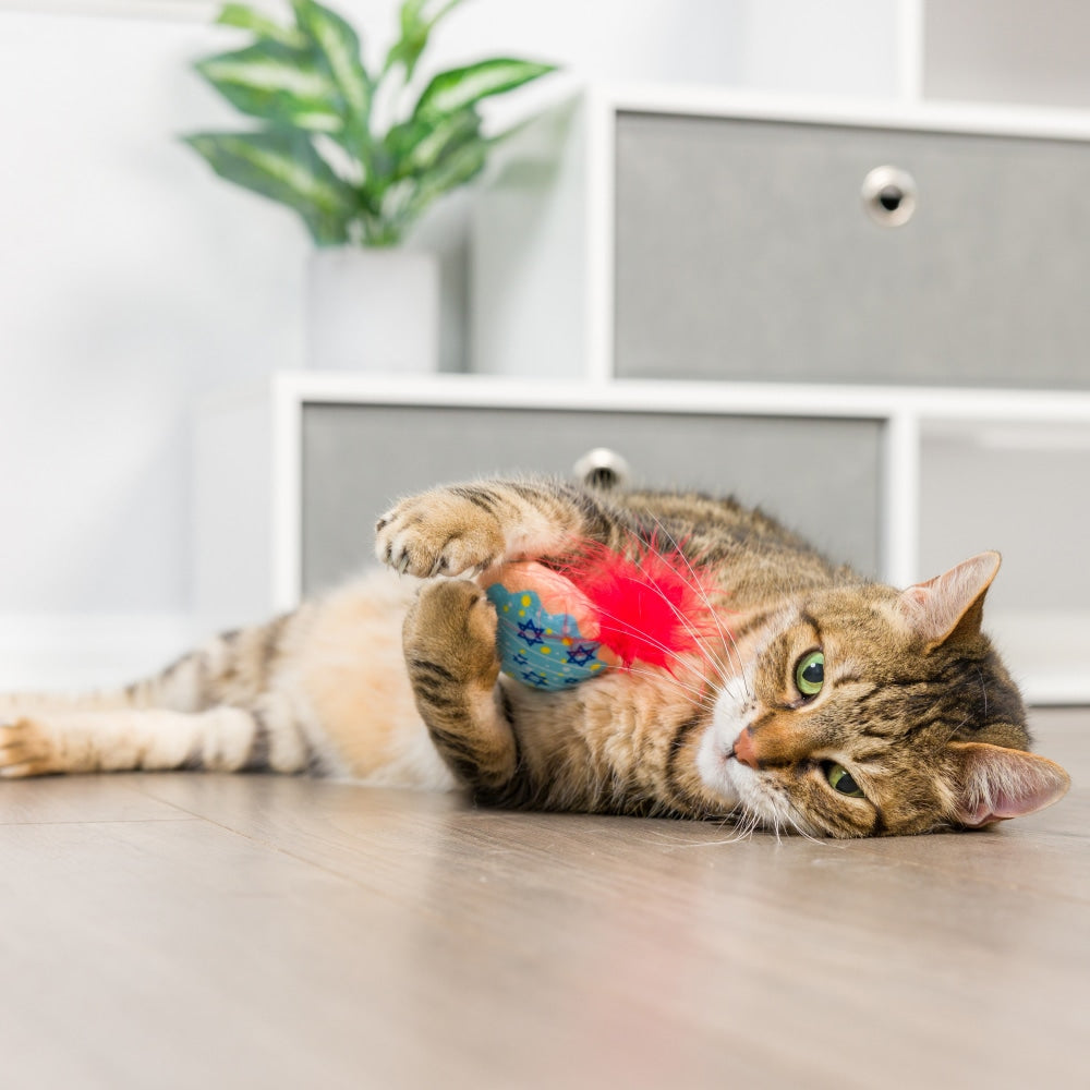 Jelly Roll & Meowchewits 2pk Cat Toy