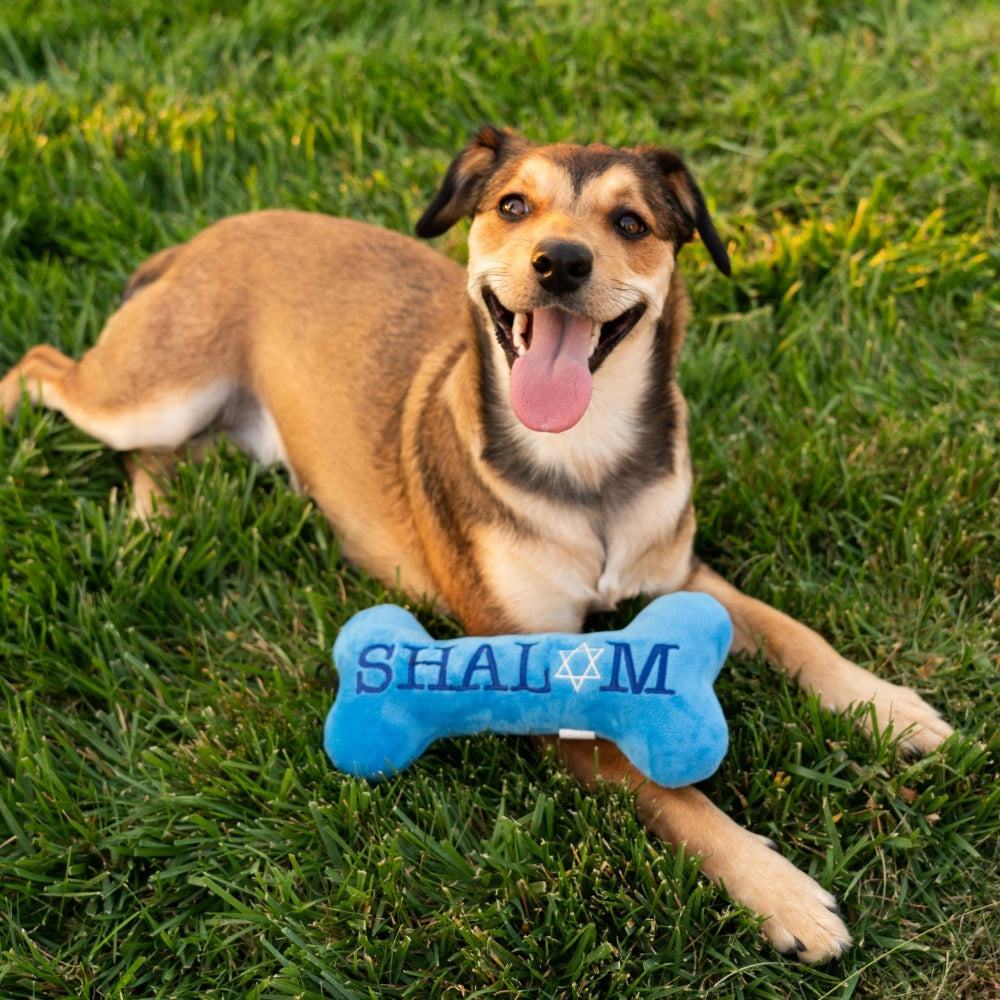 Joy Vey Bone Dog Toy (Double Sided)