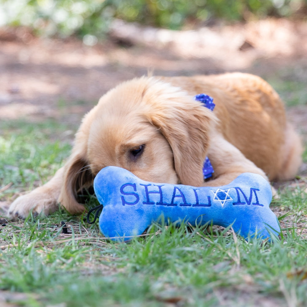Joy Vey Bone Dog Toy (Double Sided)