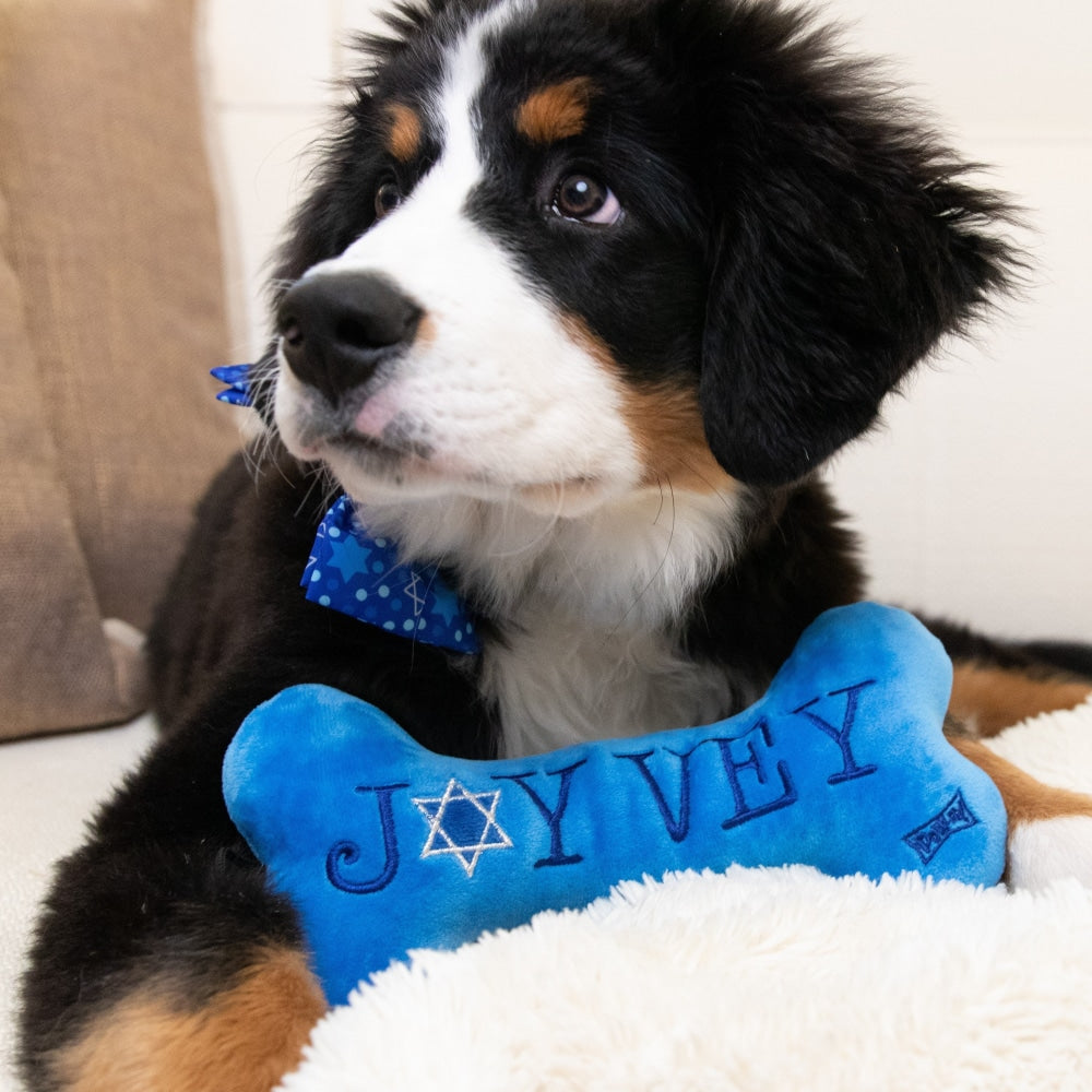 Joy Vey Bone Dog Toy (Double Sided)