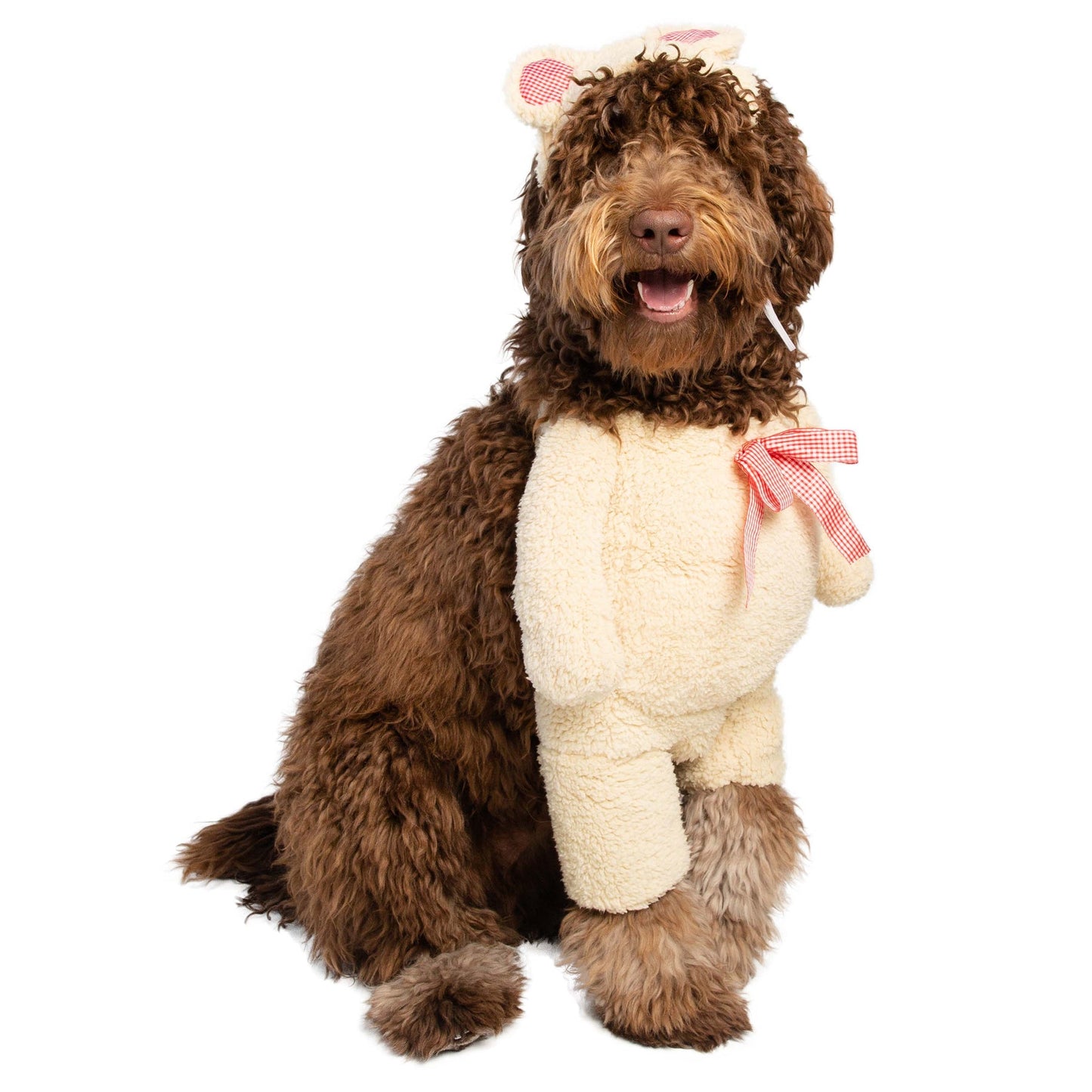 Walking Teddy Bear