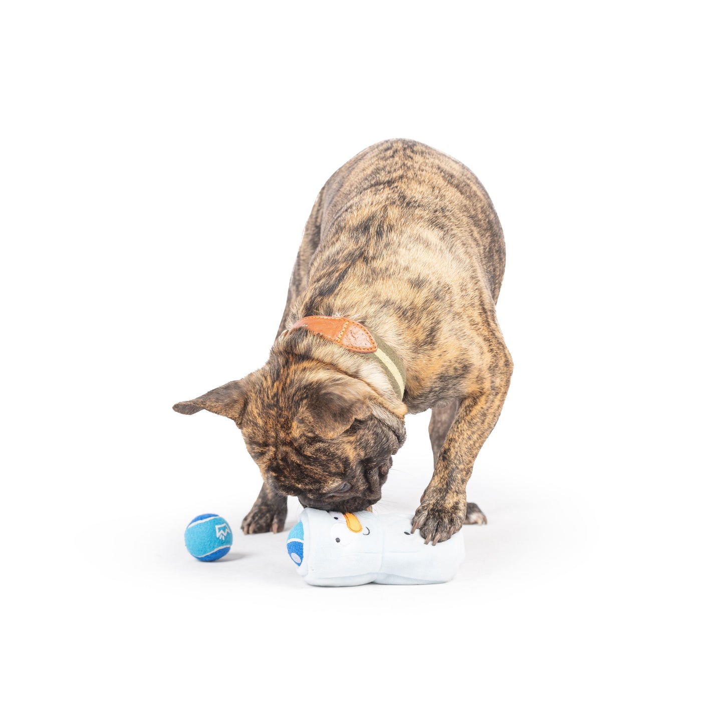 Squeak 'n Peek Frosty Snowman Dog Toy