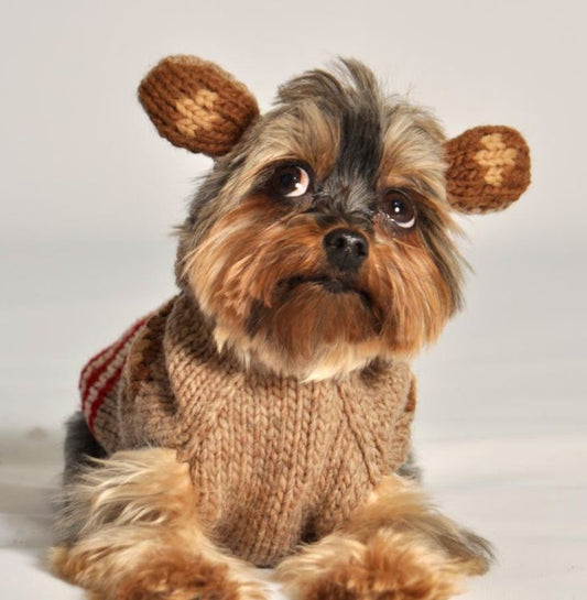 Characters Monkey Hoodie
