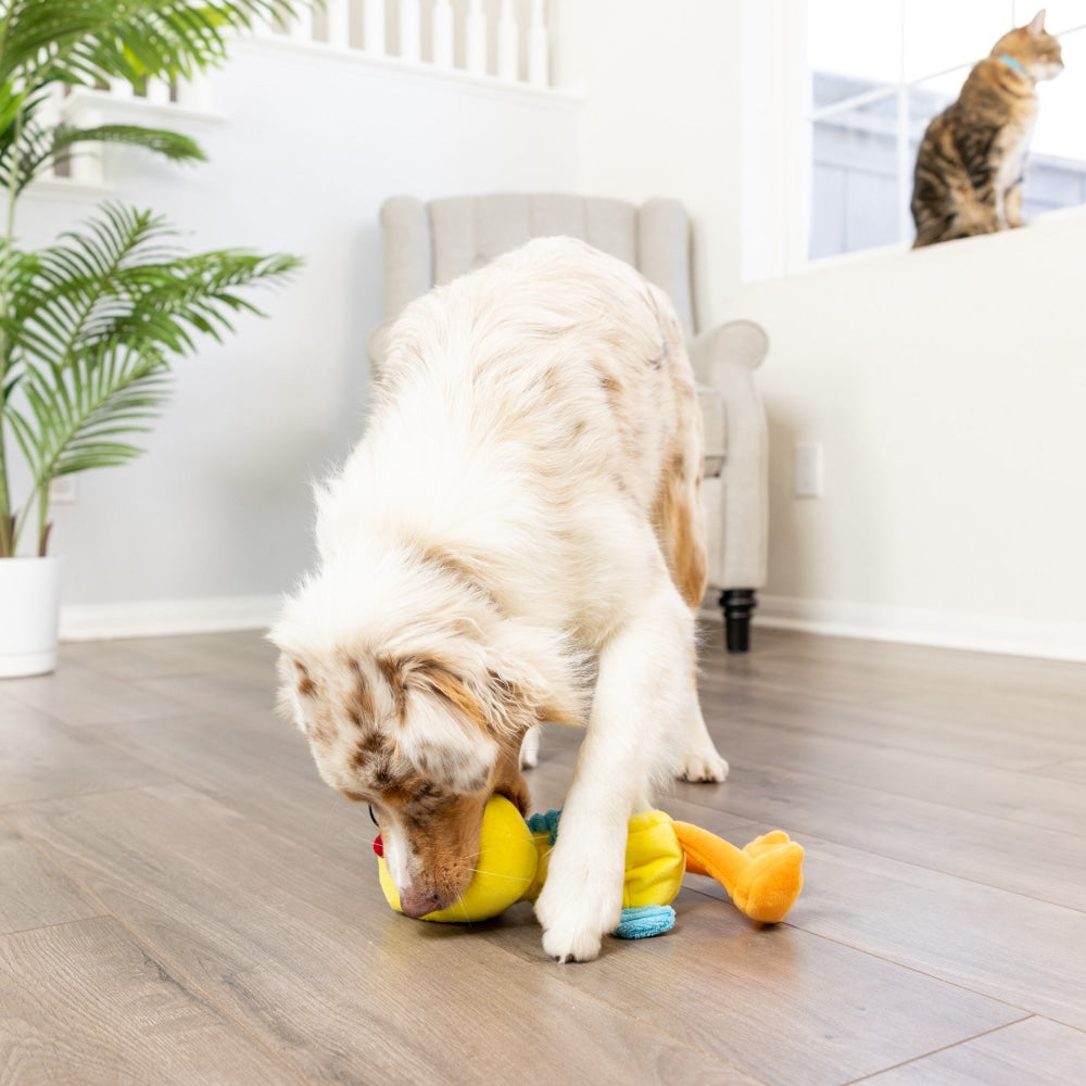 Slappies® Kernal Pecker Dog Toy