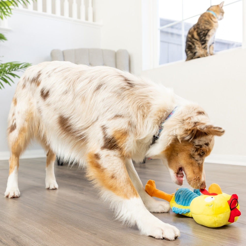 Slappies® Kernal Pecker Dog Toy