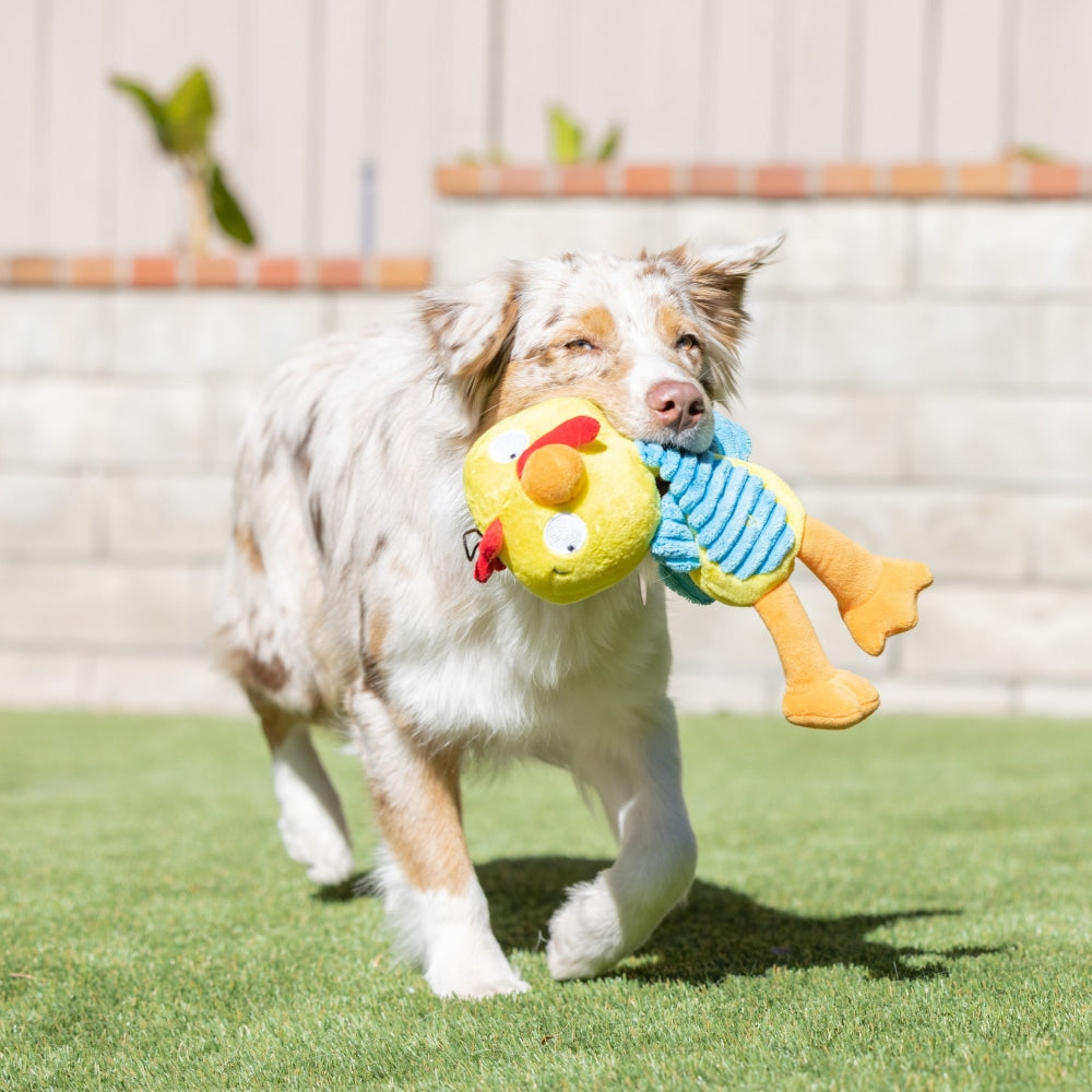 Slappies® Kernal Pecker Dog Toy