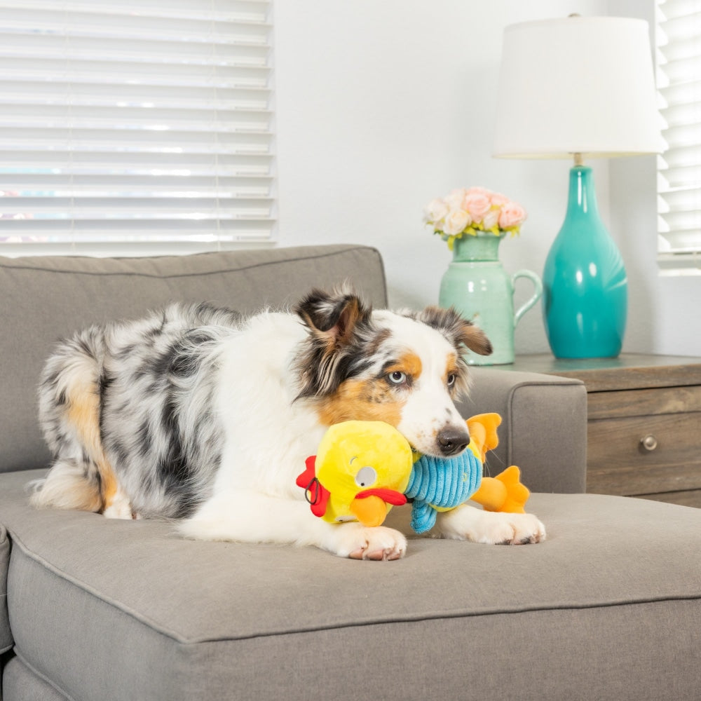 Slappies® Kernal Pecker Dog Toy