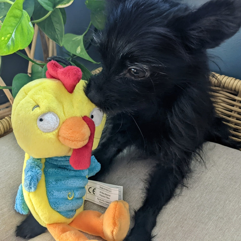 Slappies® Kernal Pecker Dog Toy