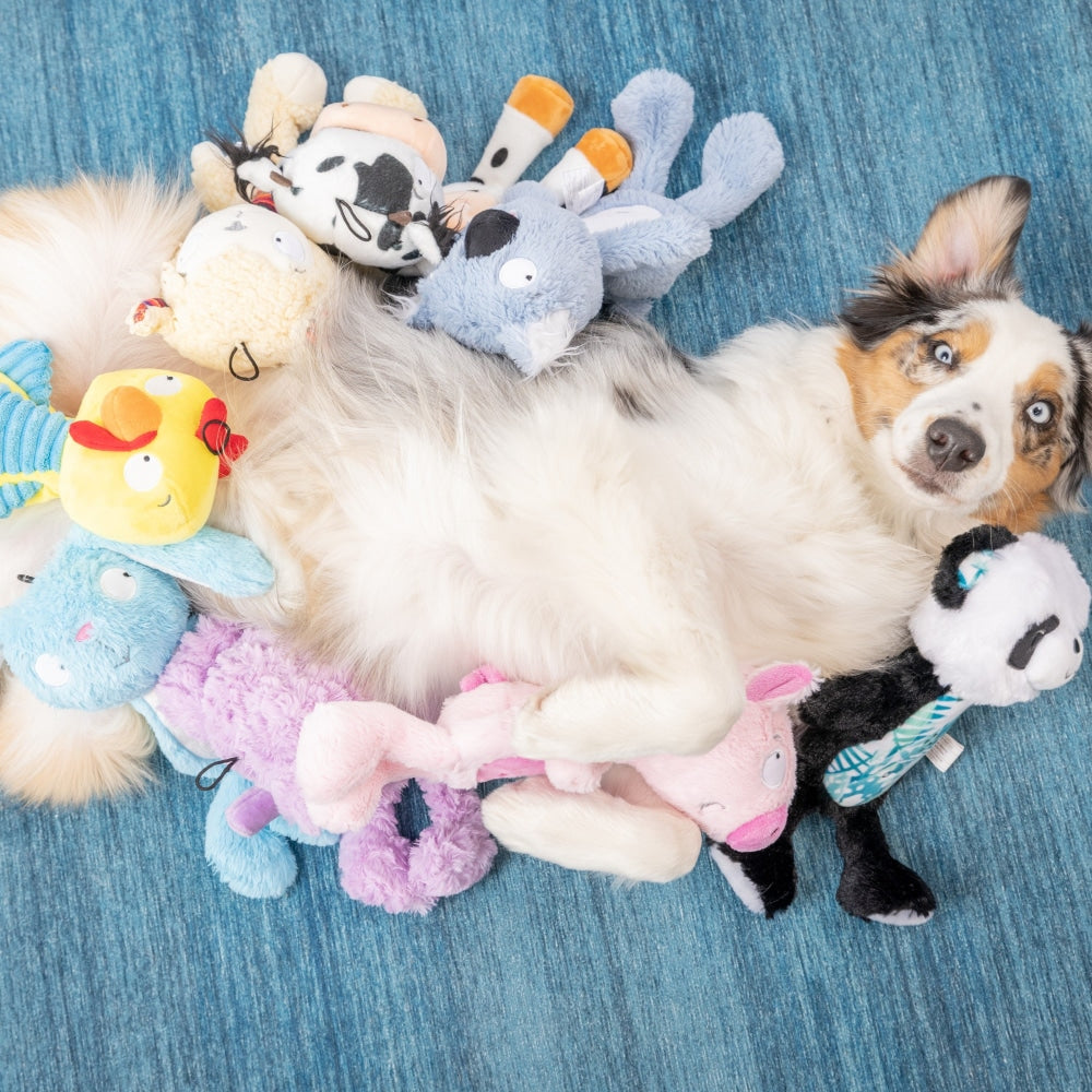 Slappies® Kernal Pecker Dog Toy