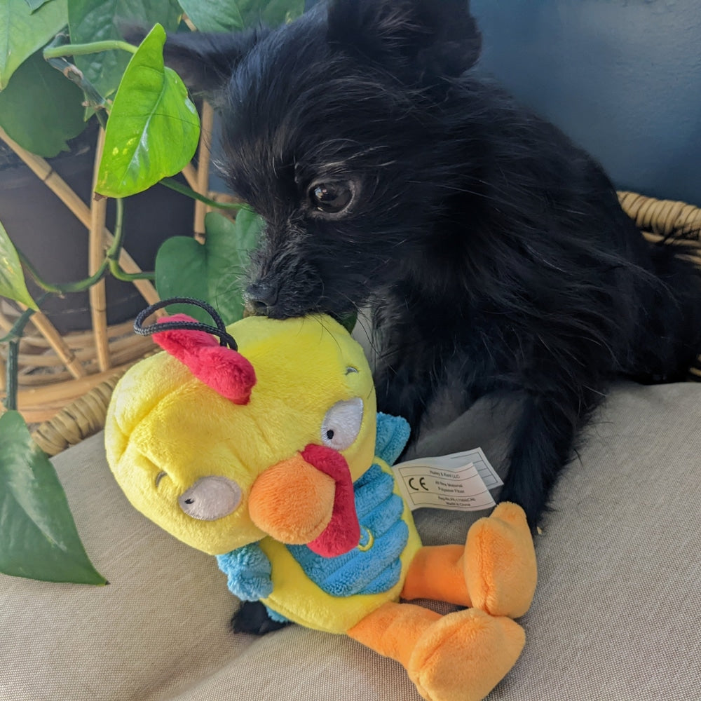Slappies® Kernal Pecker Dog Toy