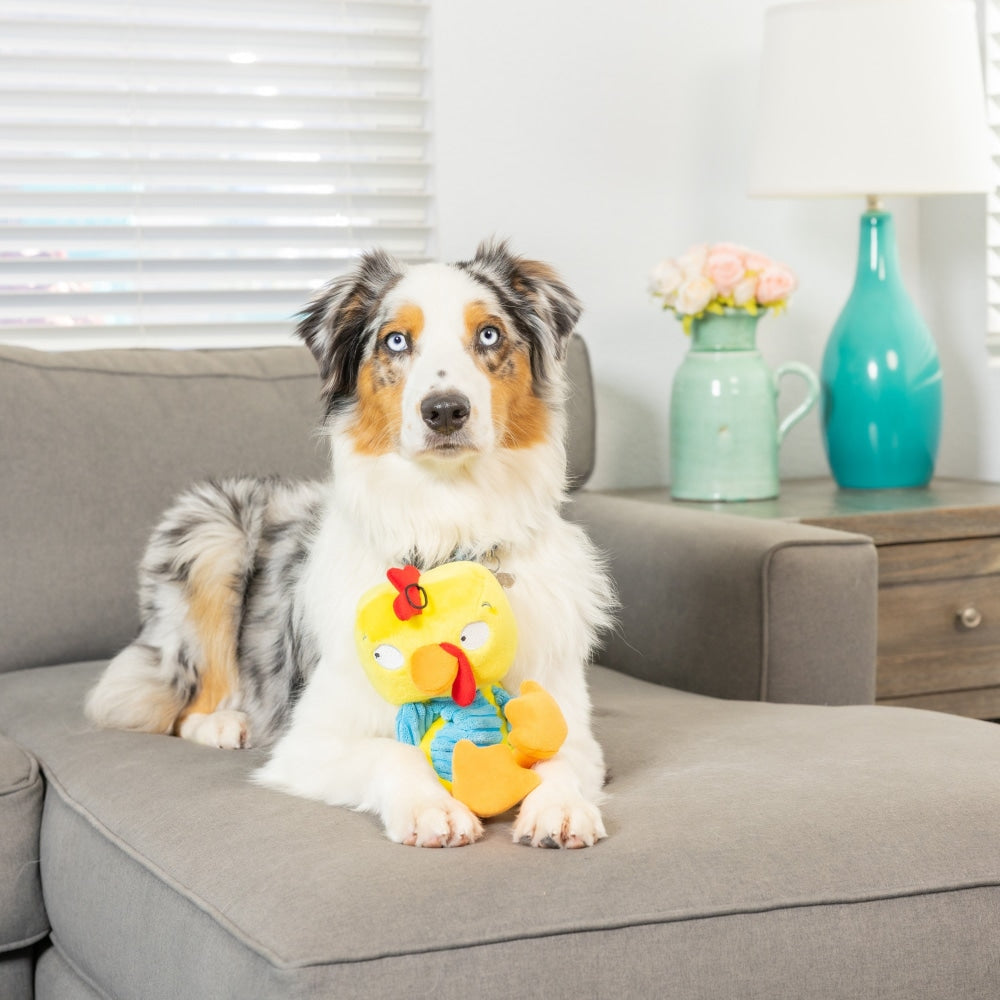 Slappies® Kernal Pecker Dog Toy