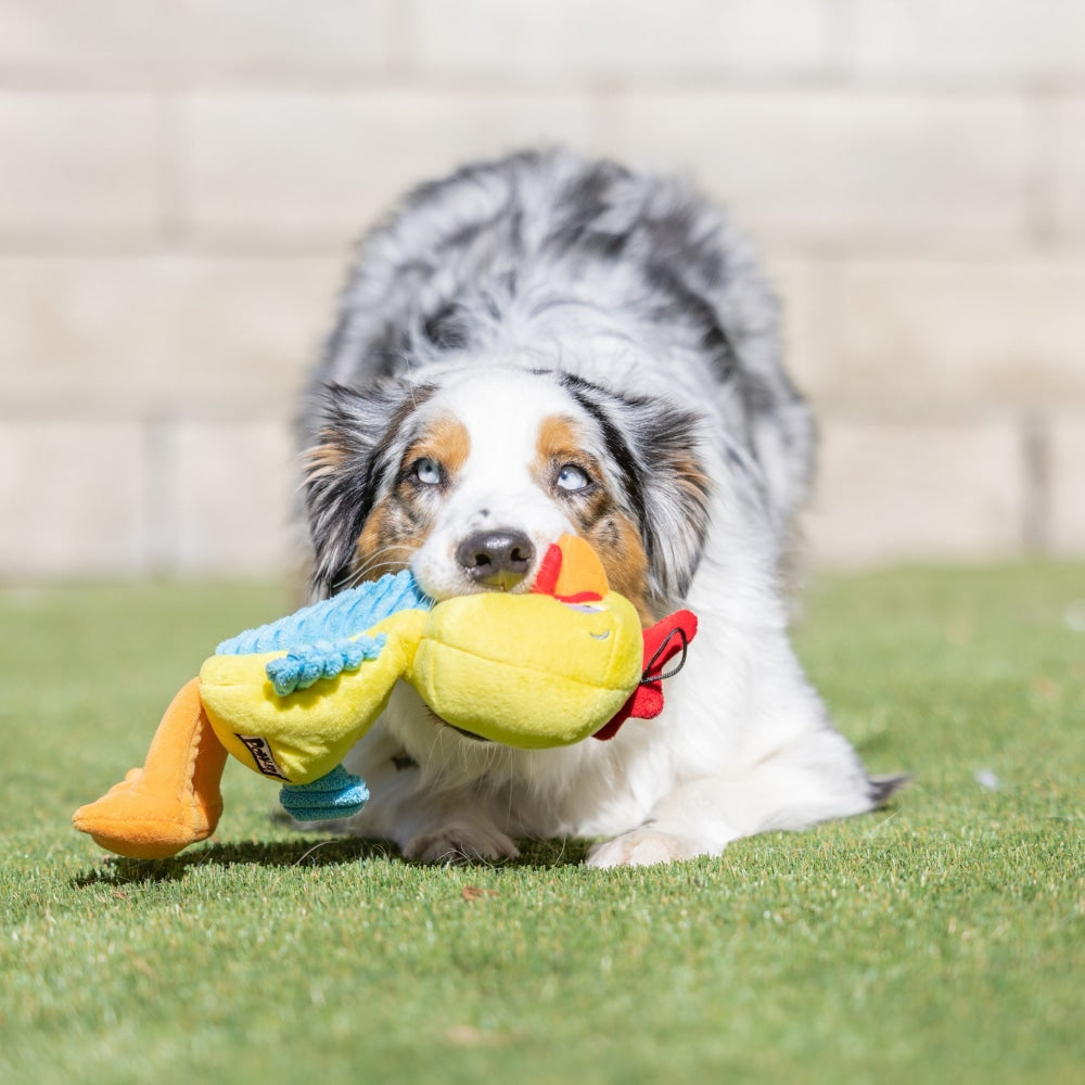 Slappies® Kernal Pecker Dog Toy