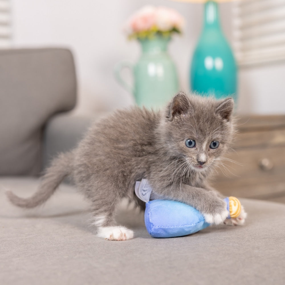 Kitty Loco Tequila Cat Toy