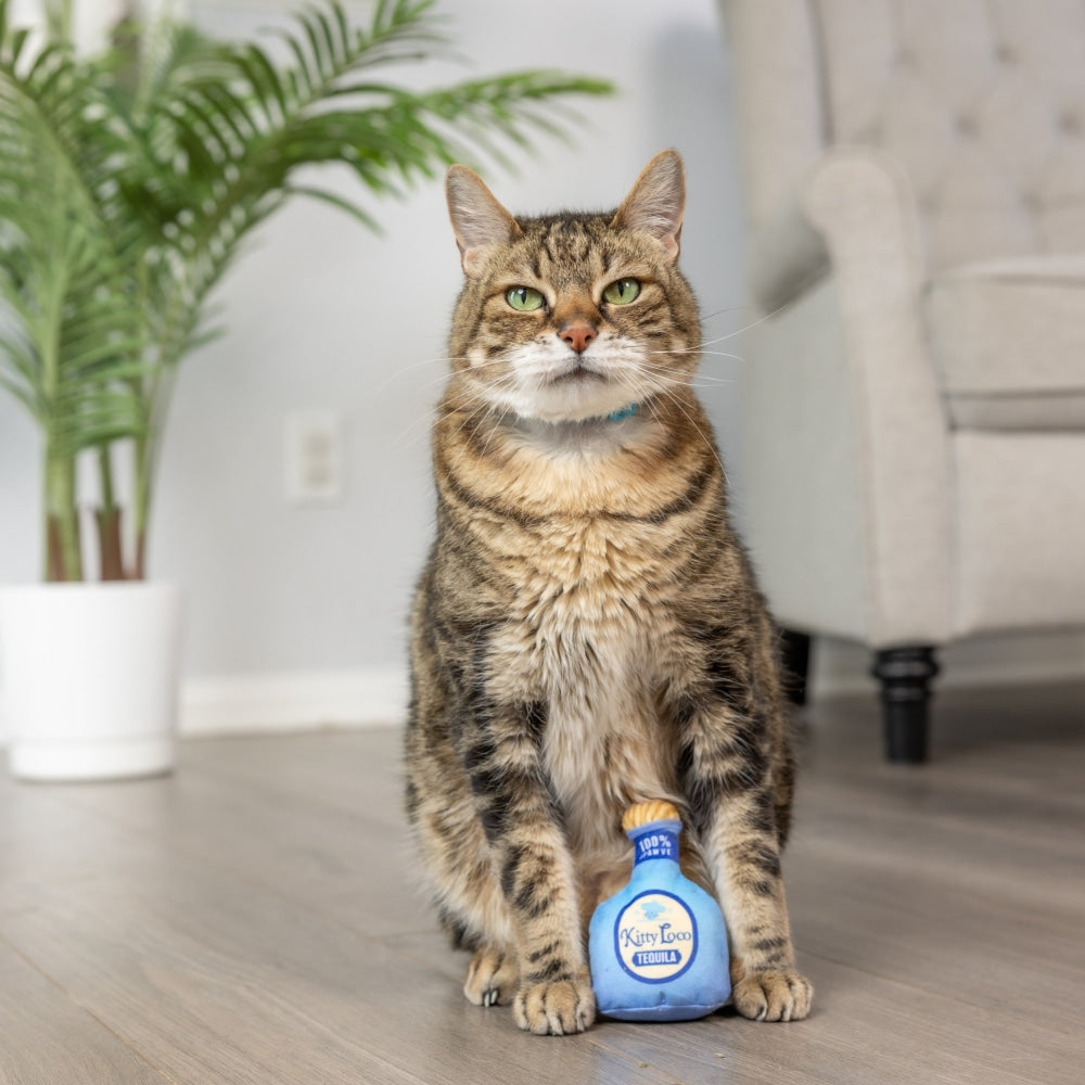 Kitty Loco Tequila Cat Toy