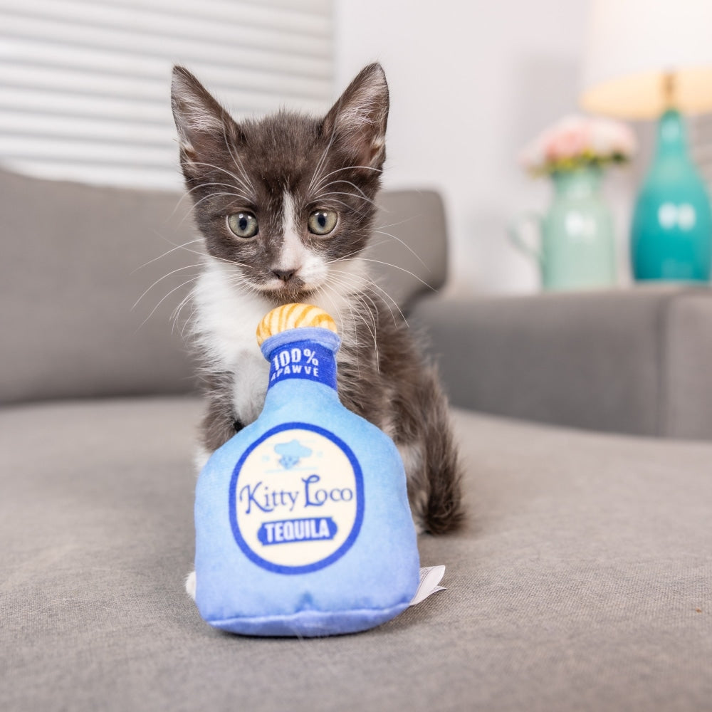 Kitty Loco Tequila Cat Toy