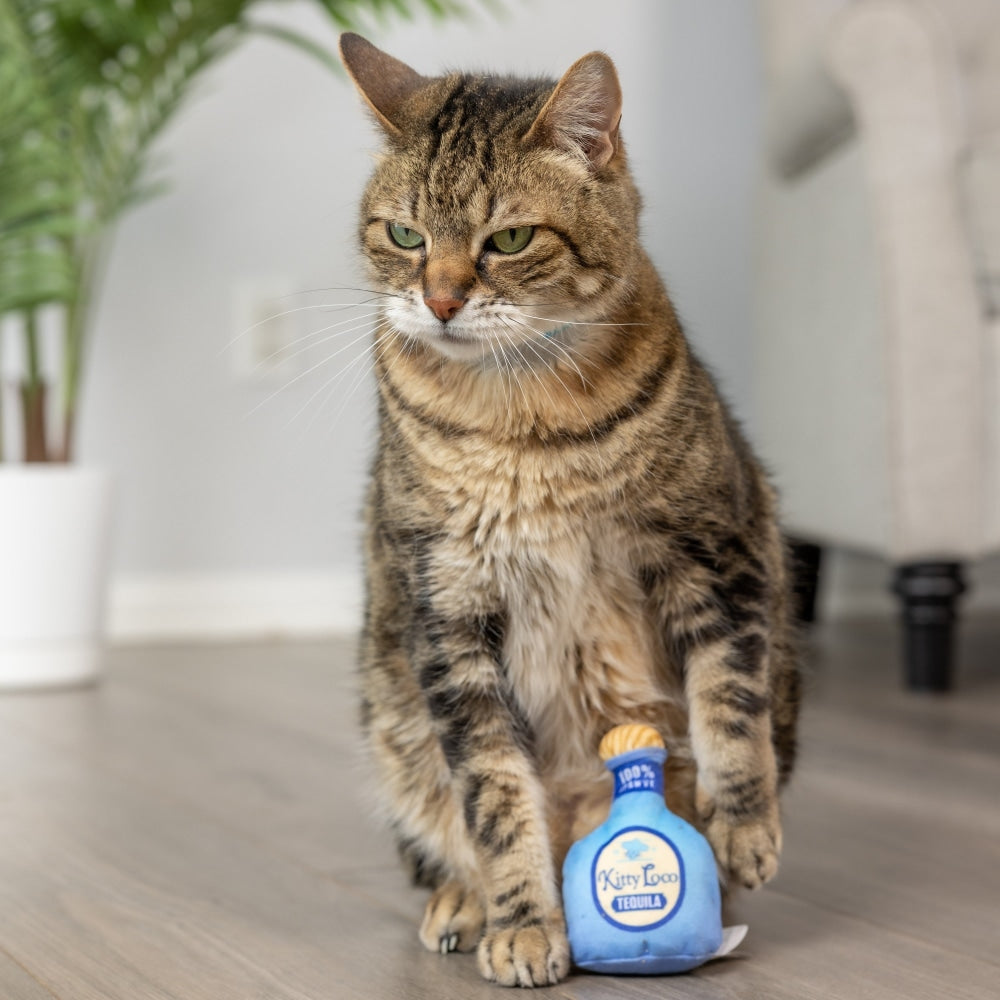 Kitty Loco Tequila Cat Toy