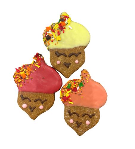 Fall Season- Corny Face- Tray of 12