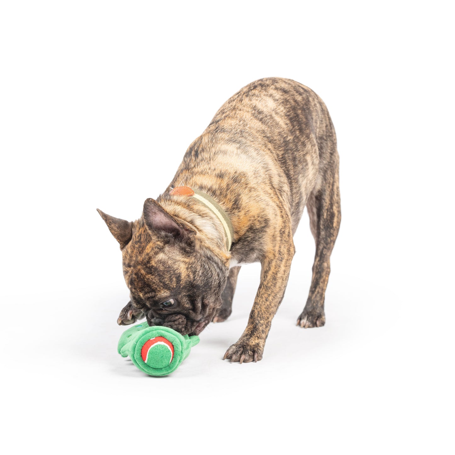 Squeak 'n Peek Christmas Tree Dog Toy