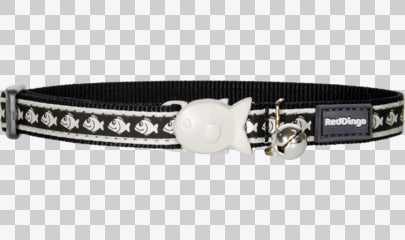 Cat Collars - Reflective