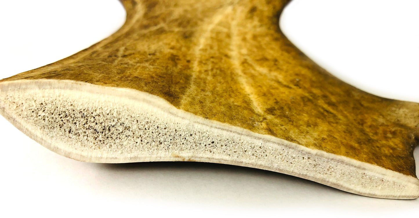 Power Paddle Deer Antlers - Large - EACH