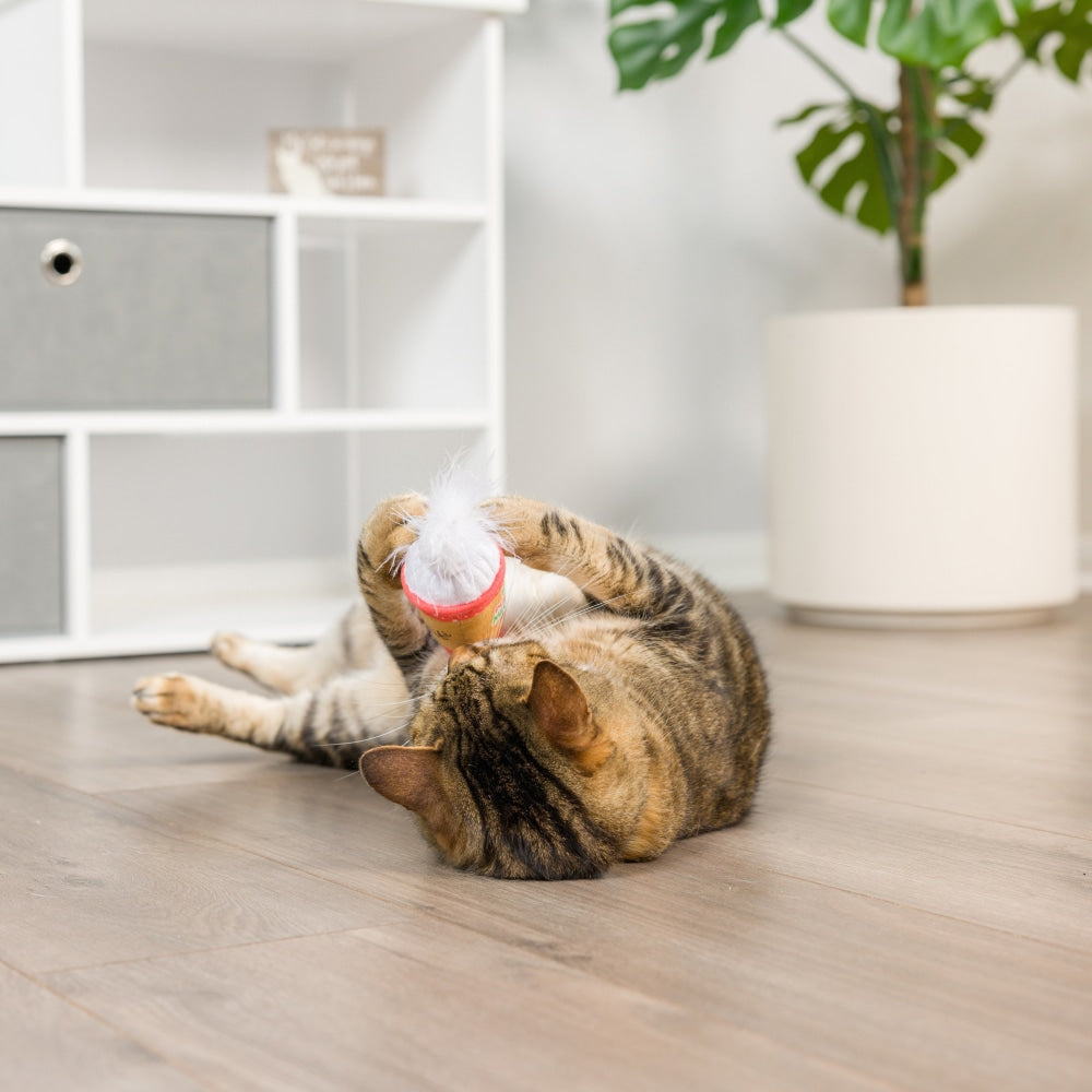 Latte My Way Cat Toy
