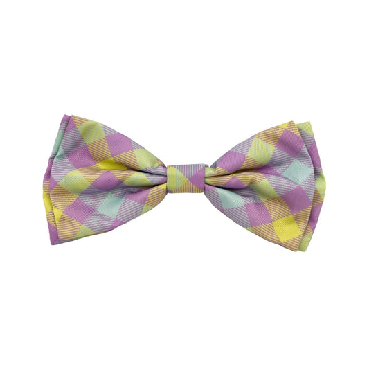 Lavender Lemon Check Bow Tie