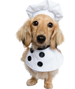 Chef Uniform