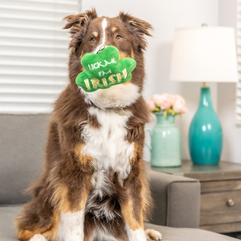 Lick Me Shamrock Dog Toy