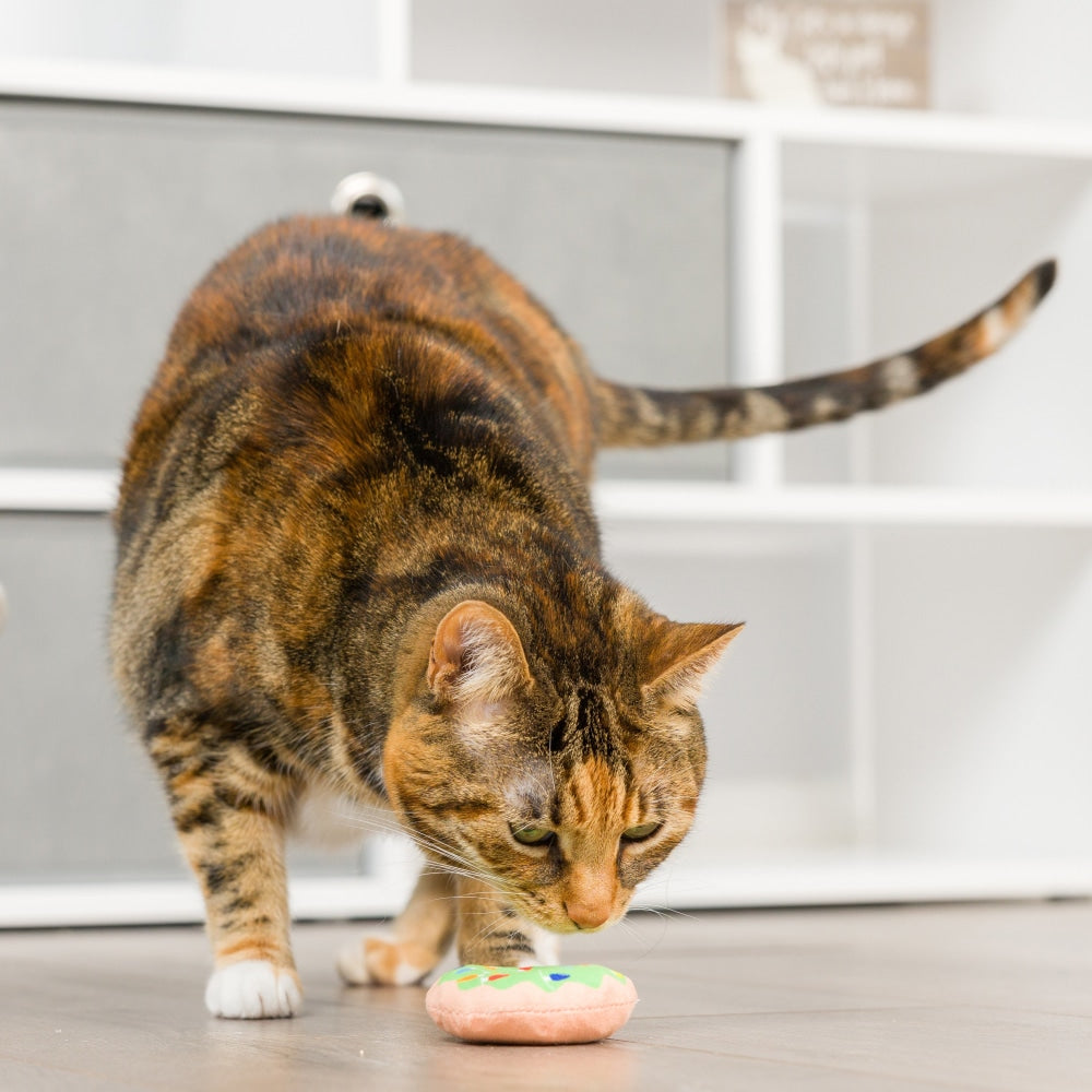 Lit Donut & Peppermint Candy 2pk Cat Toy