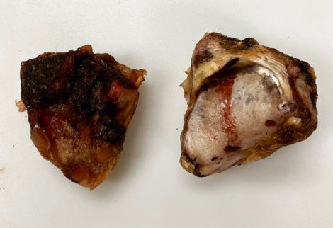 Bison Knee