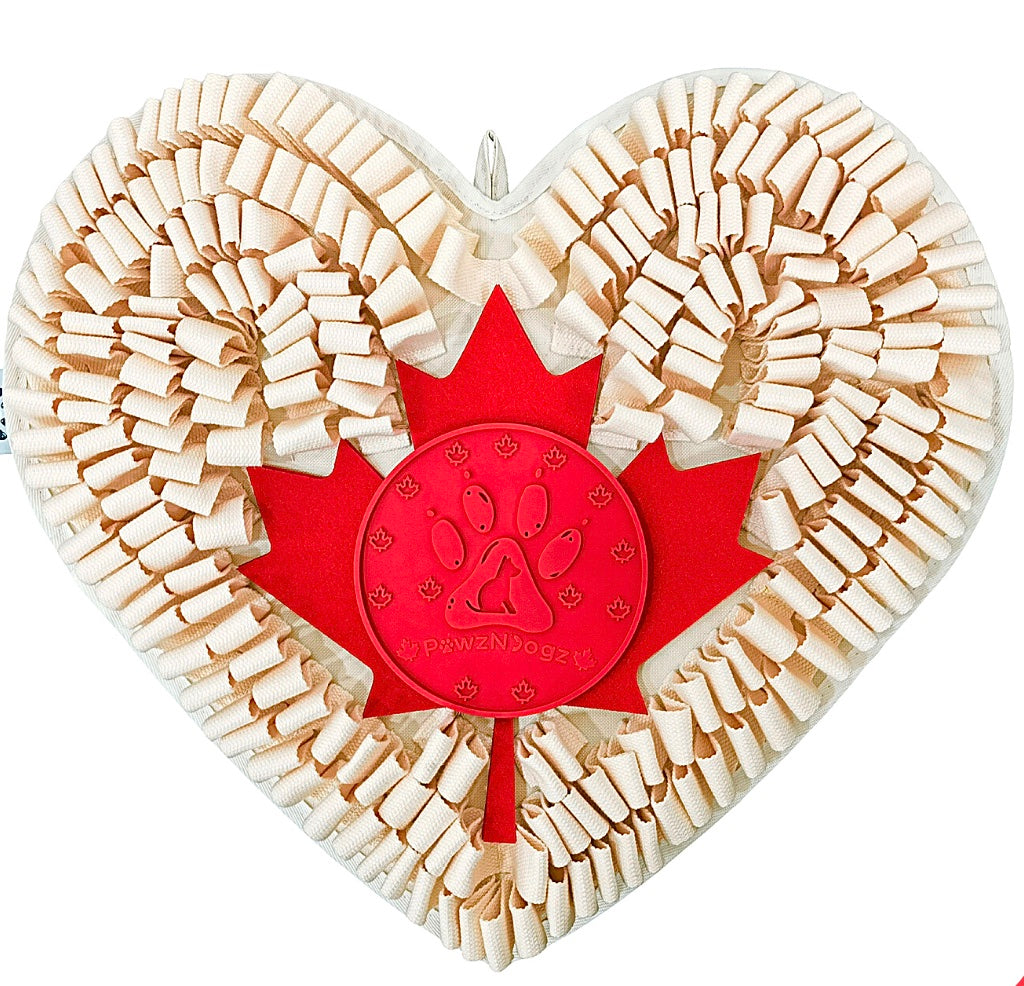 PawzNDogz™ Snuffle Mat - Boundless Love™