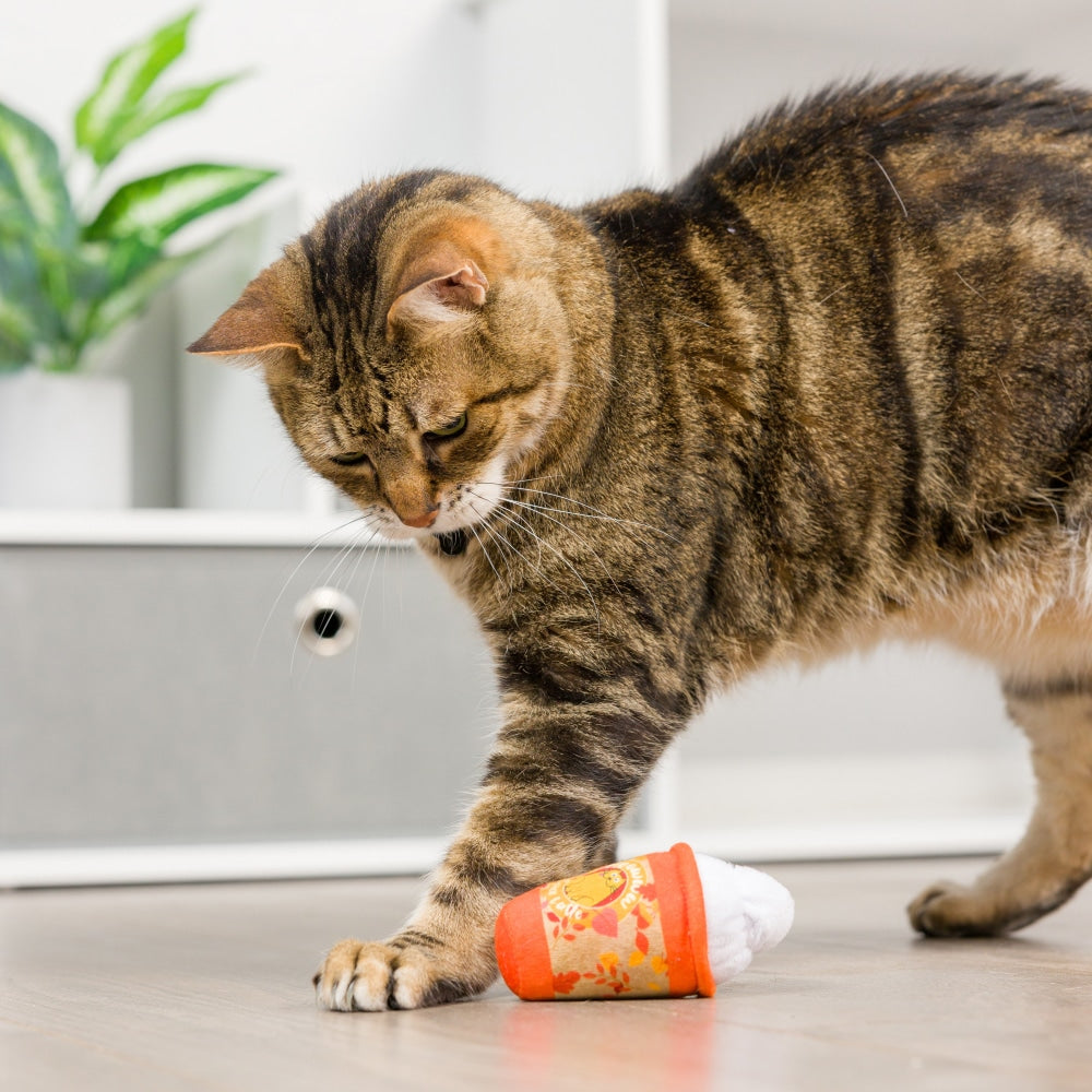 Meowww Spice Latte Cat Toy