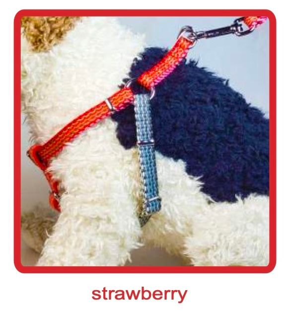 Dog Harness- Haight Ashberry Reflective