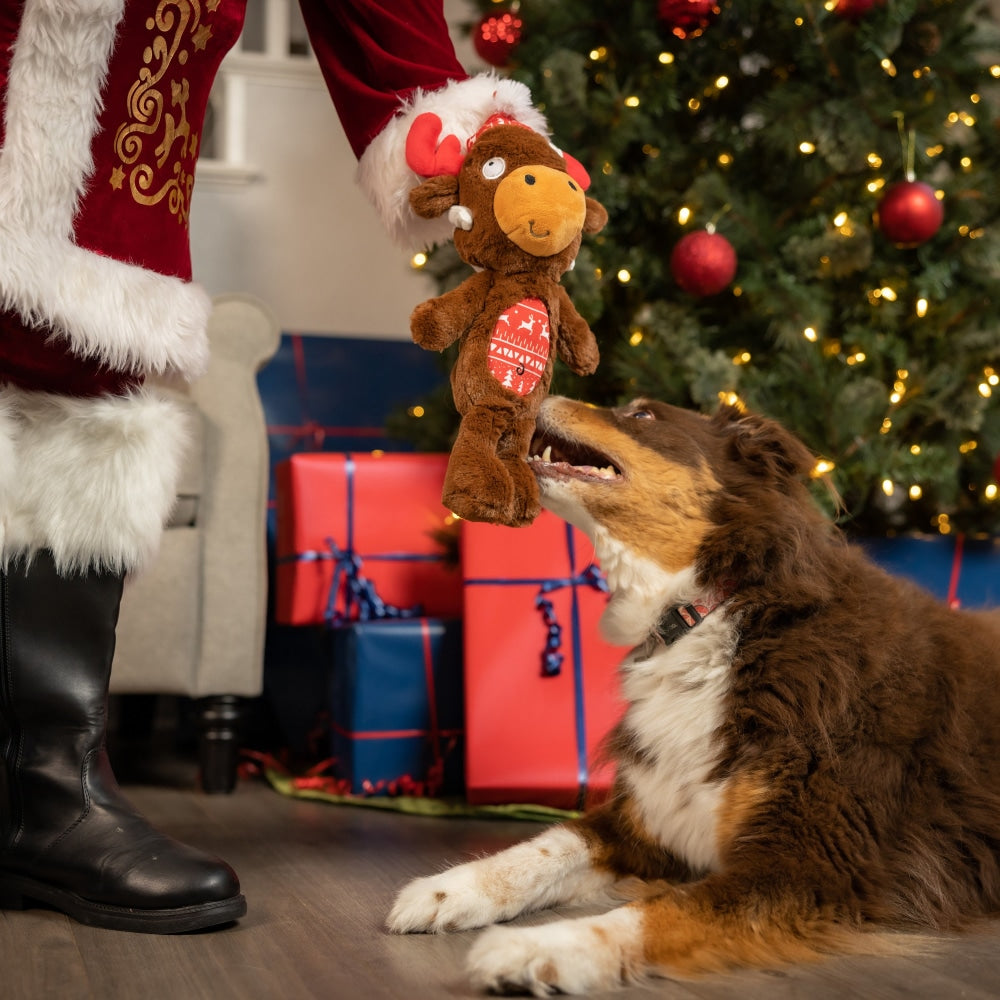 Slappies® Mistletoe Moose Dog Toy