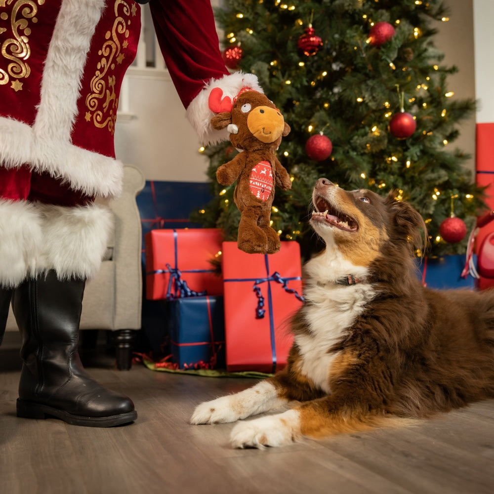 Slappies® Mistletoe Moose Dog Toy